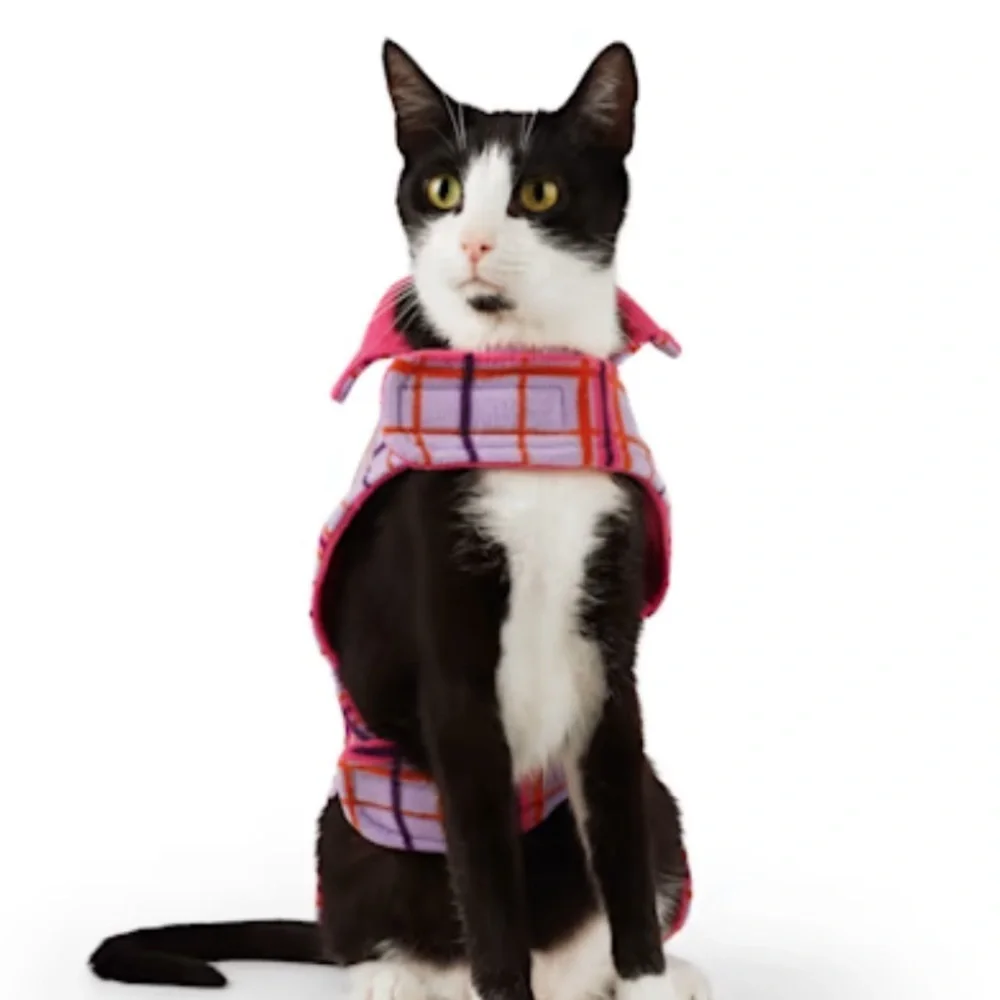 NWT Youly Reversible Plaid cozy cat coat S/M​